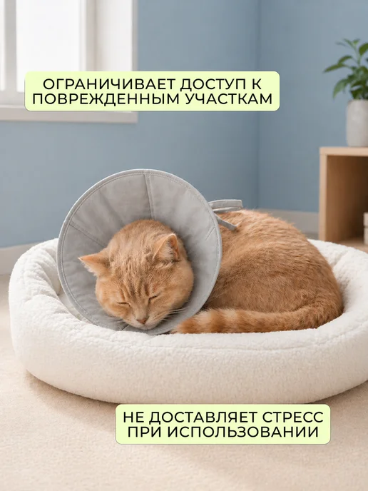 Кошковед Воротник защитный со шнурком для кошек и собак, серый, фото 4