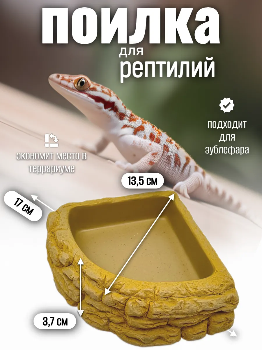 Кормушка поилка для рептилий угловая