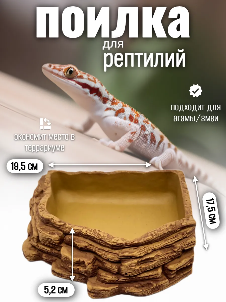 Кормушка поилка для рептилий угловая