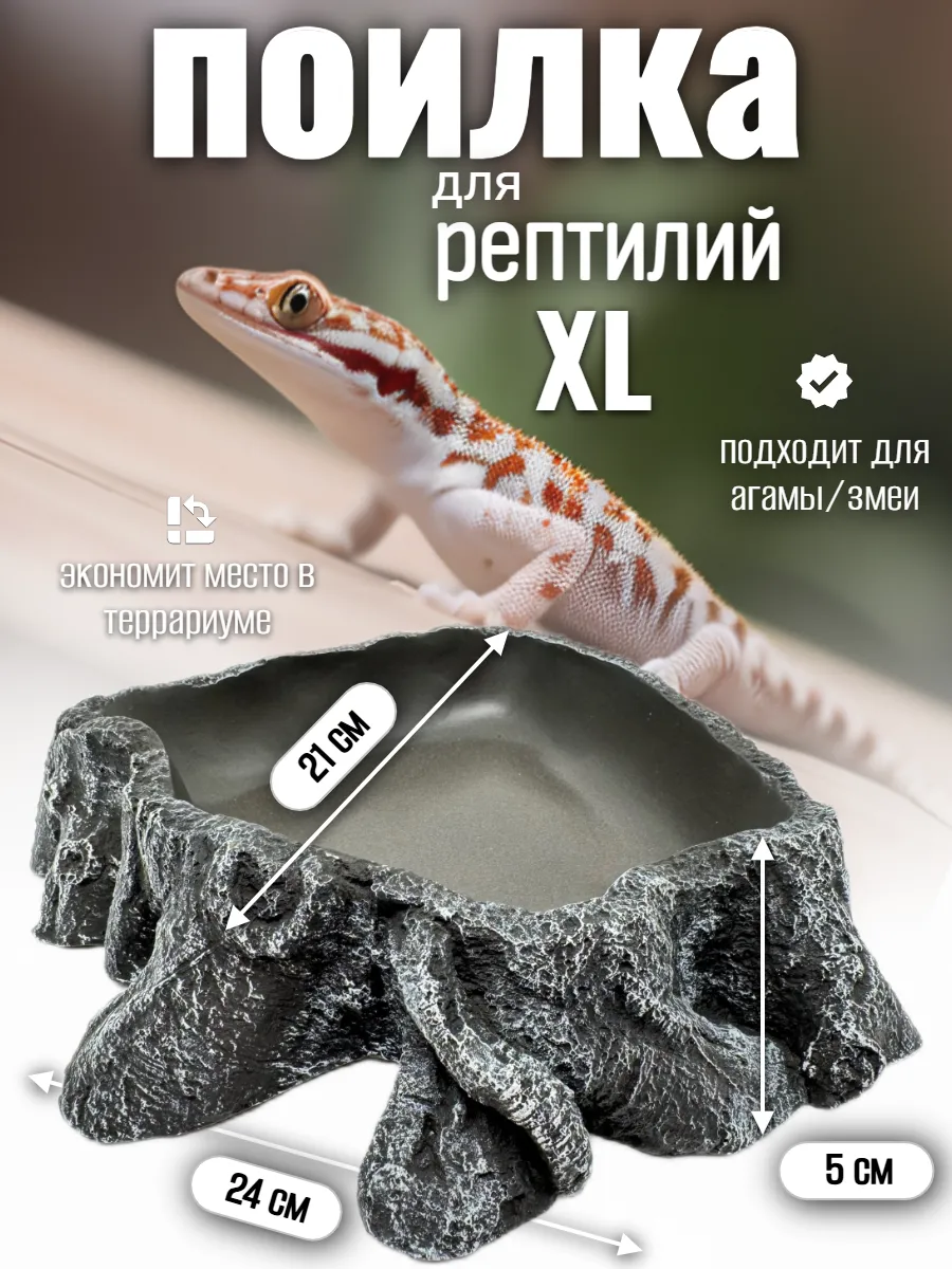 Кормушка поилка для рептилий угловая большая