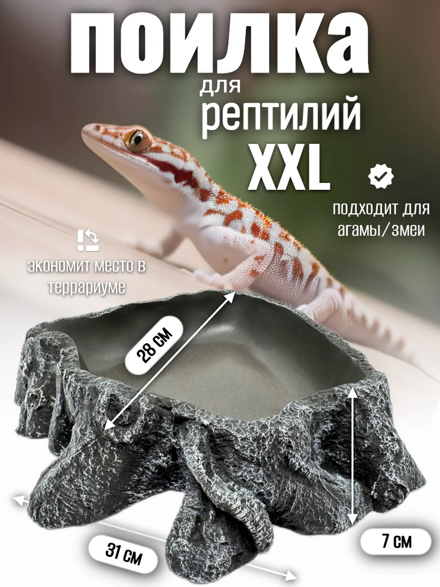 Кормушка поилка для рептилий угловая большая