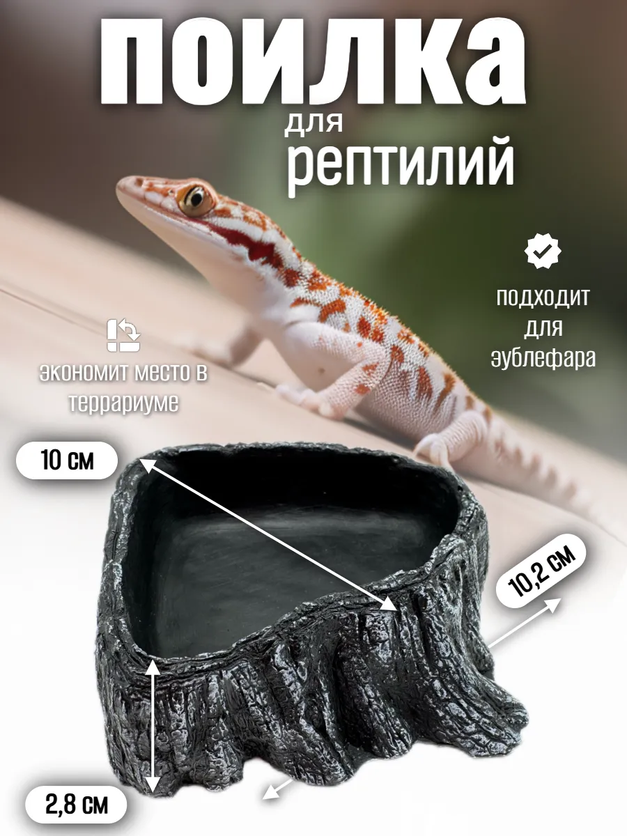Кормушка поилка для рептилий угловая
