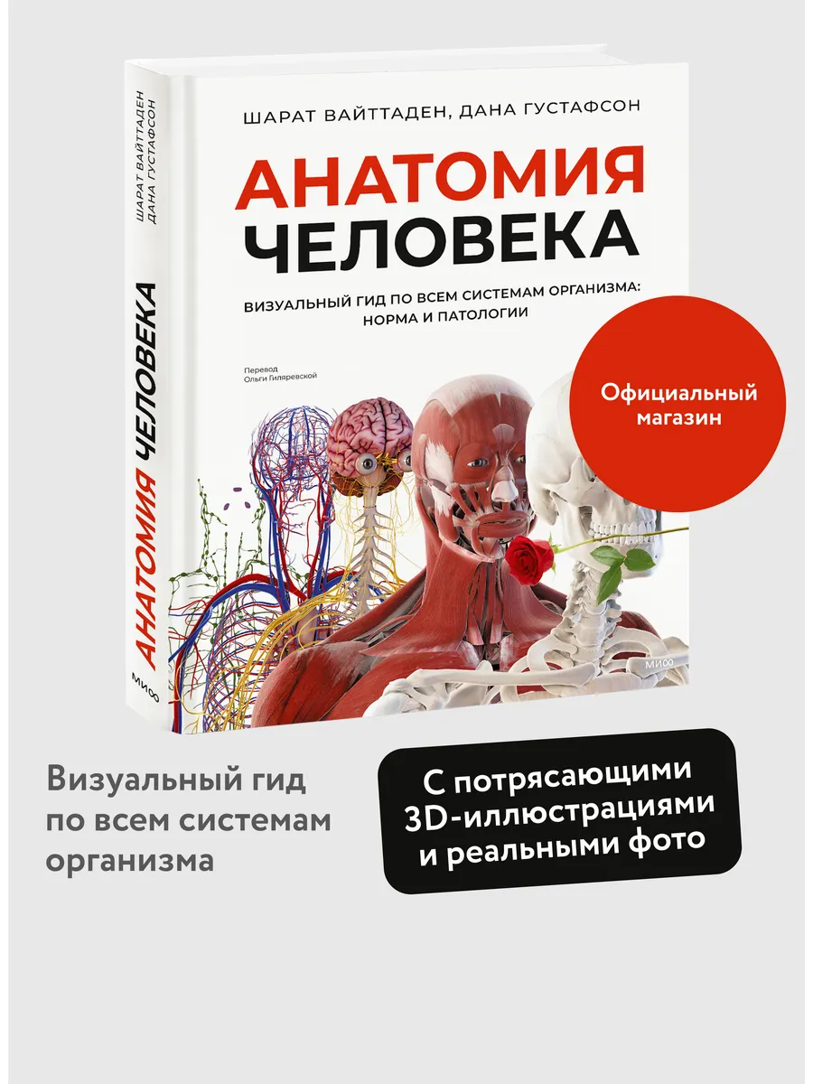 Анатомия человека. Визуальный гид по всем системам организма