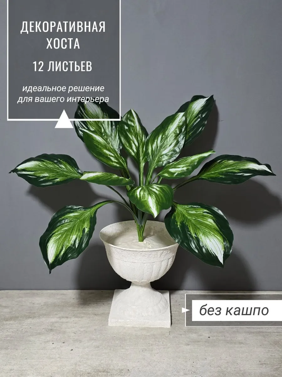 Искусственная Хоста