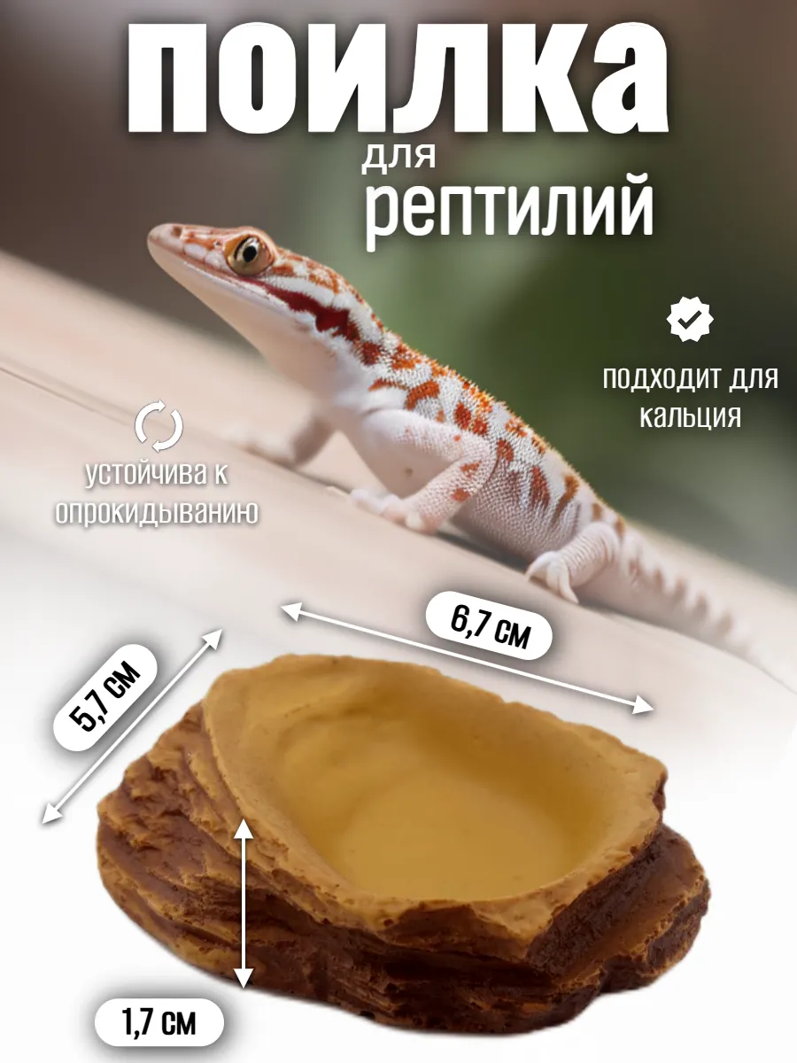 Кормушка-поилка для рептилий и насекомых