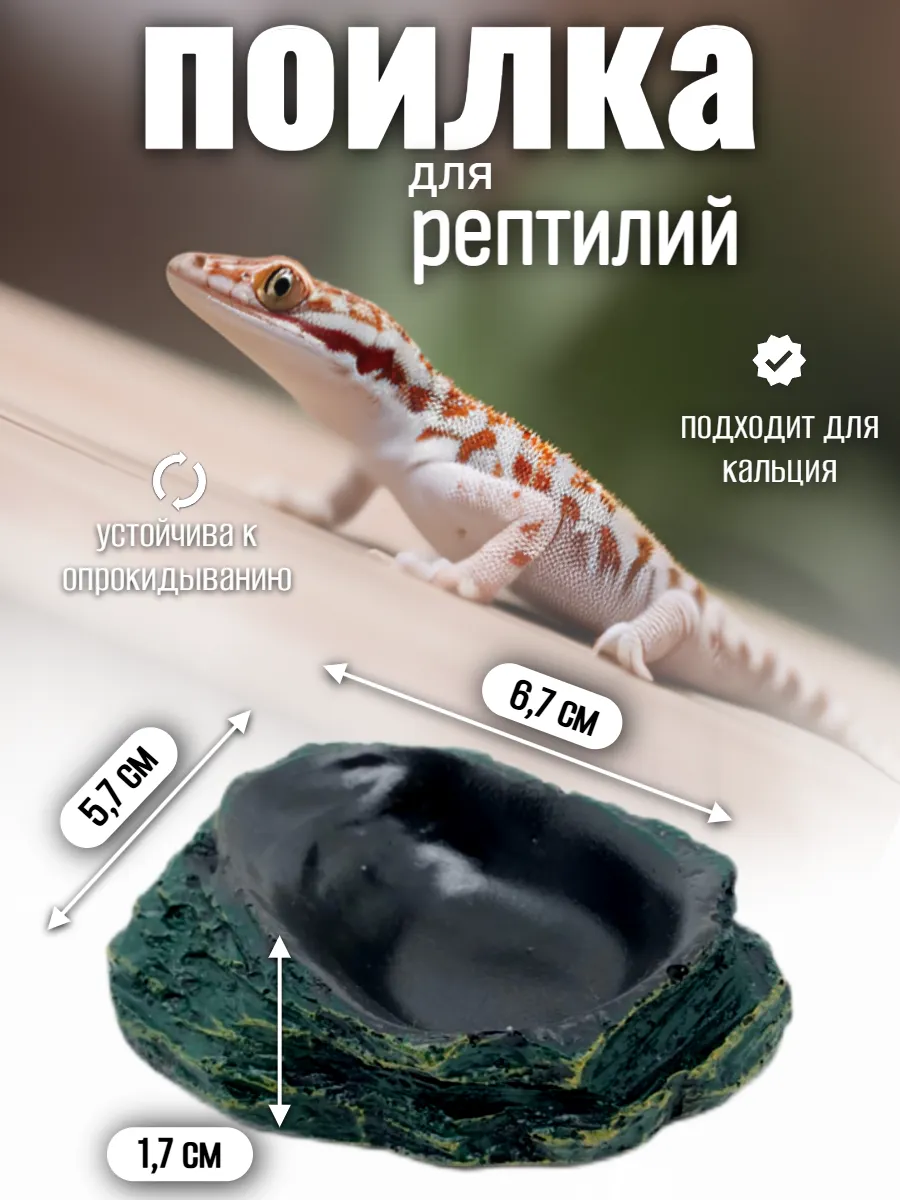 Кормушка-поилка для рептилий и насекомых