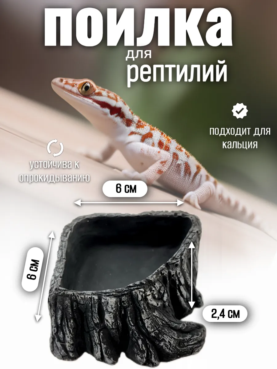 Кормушка-поилка для рептилий и насекомых