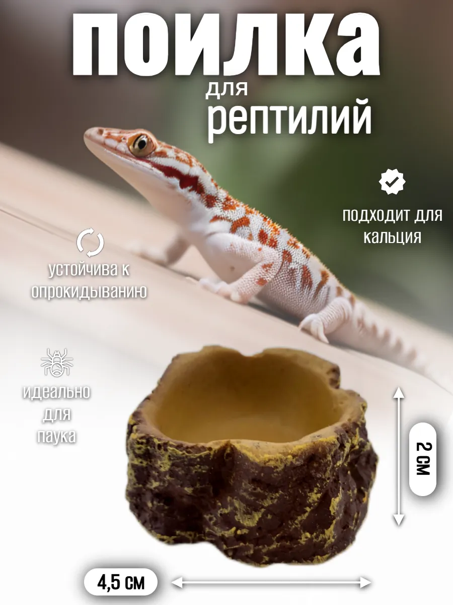 Кормушка-поилка для рептилий и насекомых