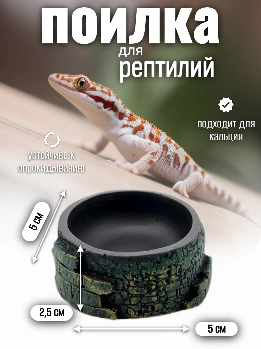 Кормушка-поилка для рептилий и насекомых
