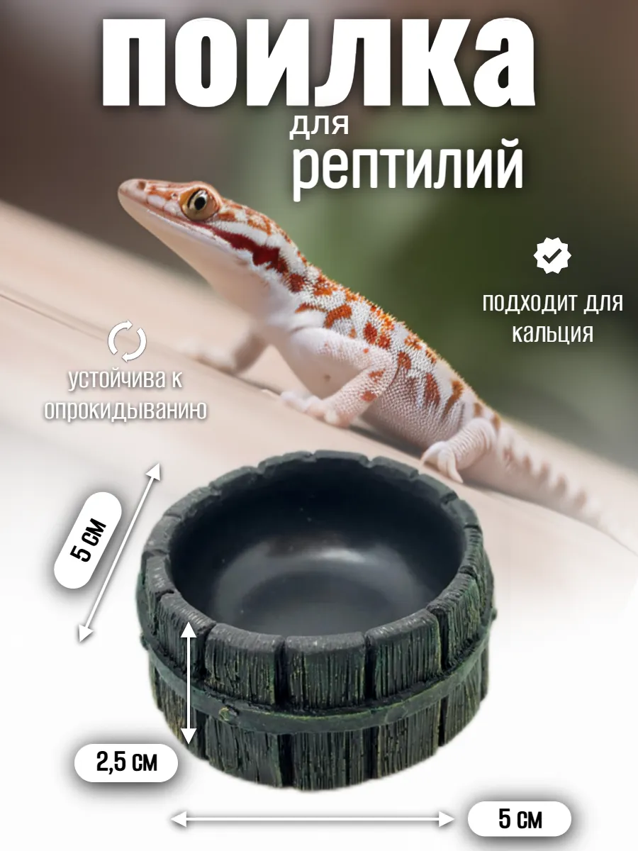 Кормушка-поилка для рептилий и насекомых