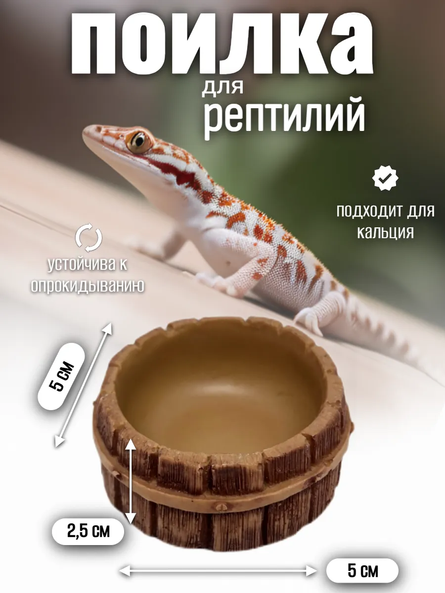 Кормушка-поилка для рептилий и насекомых