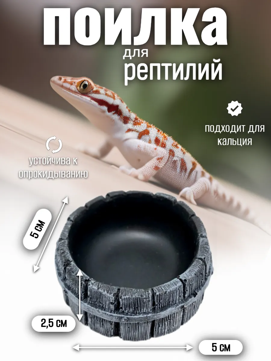Кормушка-поилка для рептилий и насекомых