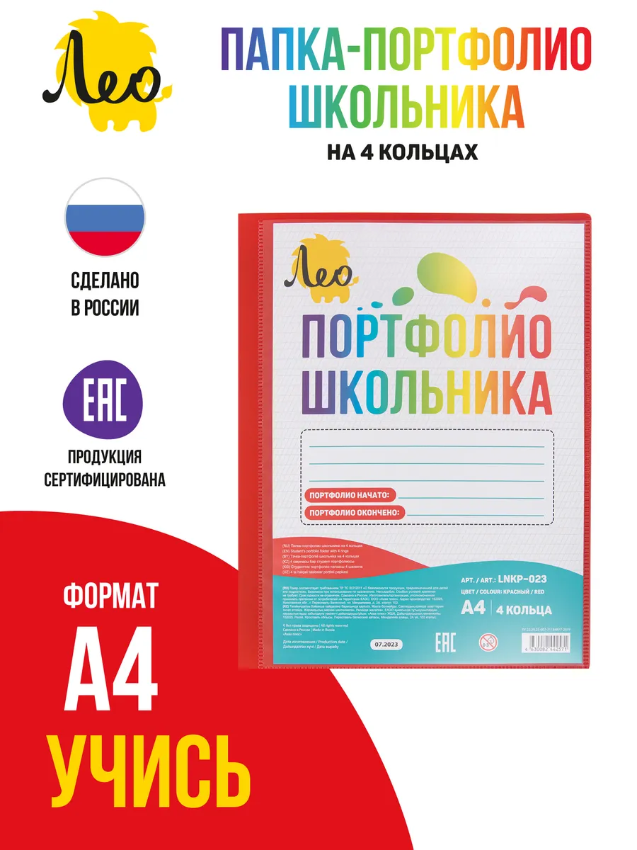 Папка портфолио школьника на 4 кольцах A4