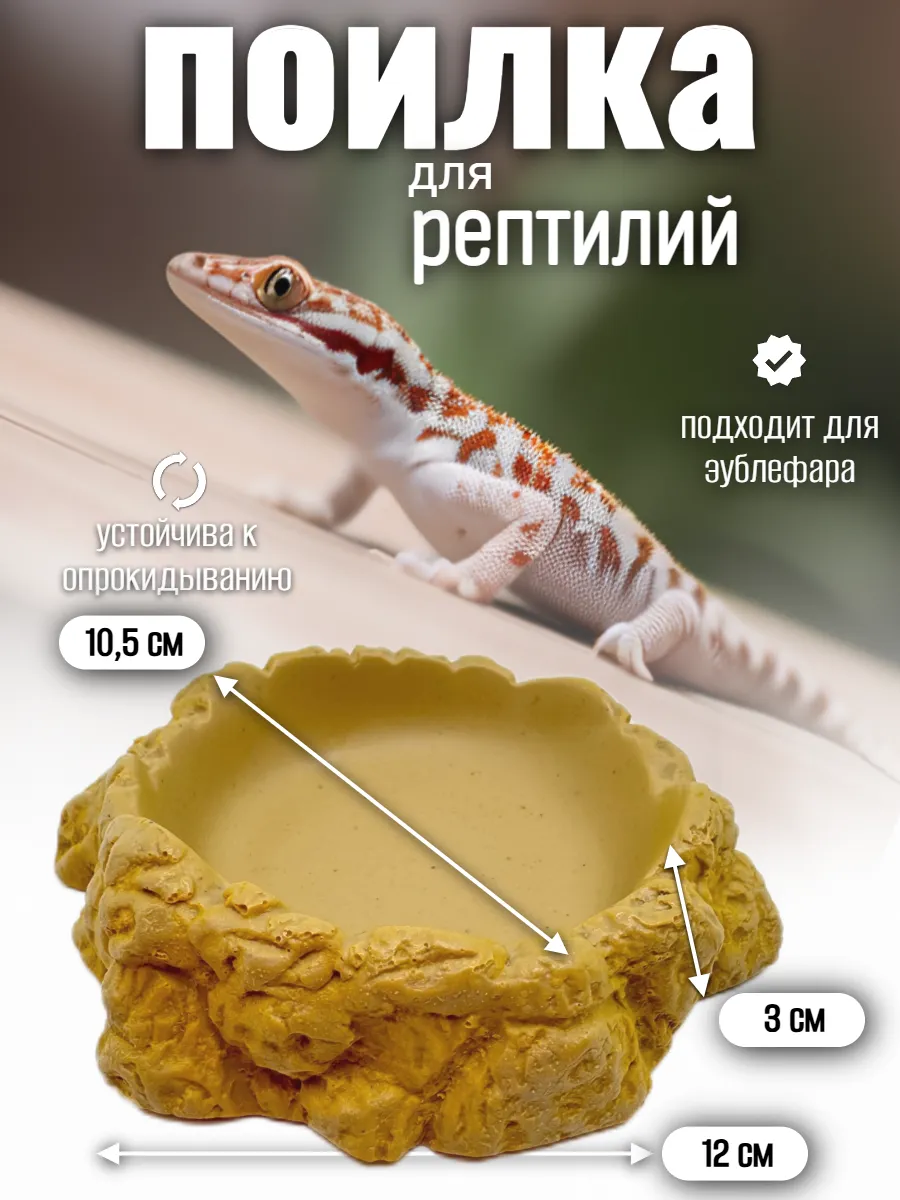 Кормушка поилка для рептилий