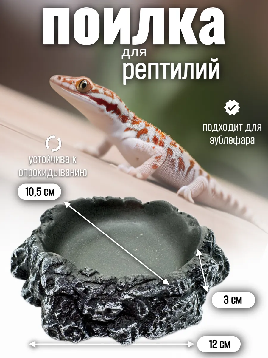 Кормушка поилка для рептилий