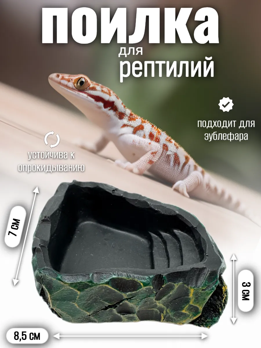 Кормушка поилка для рептилий