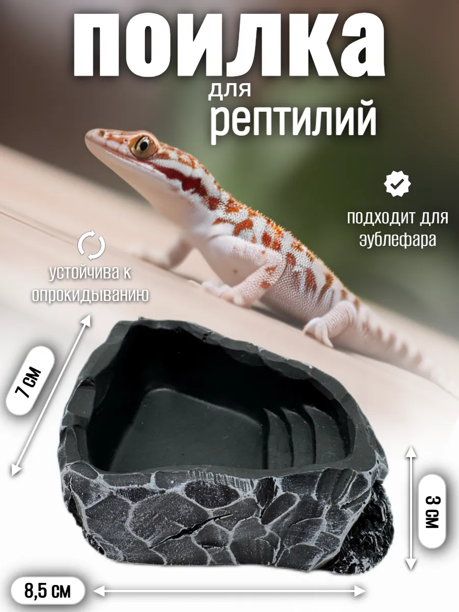 Кормушка поилка для рептилий