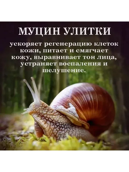 Подарочный набор с муцином улитки, 6 шт, фото 8